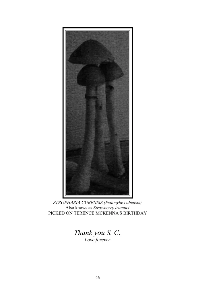 Original illustrated layout from PDF page 46