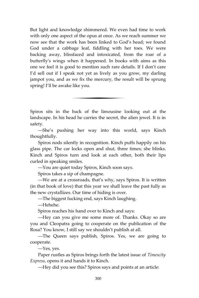 Original illustrated layout from PDF page 300